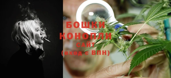 шишки Арсеньев