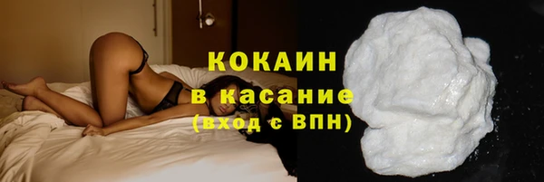 шишки Арсеньев