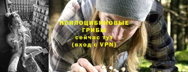 спайс Аркадак