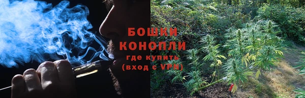 спайс Аркадак