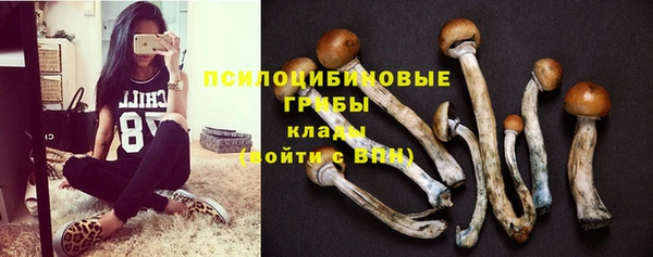 спайс Аркадак