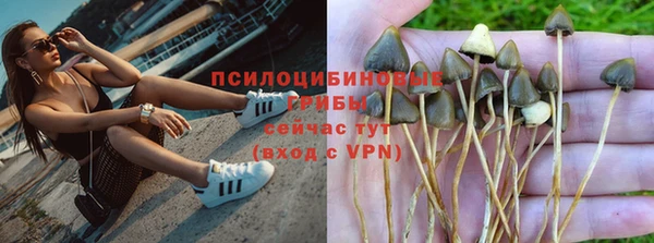 спайс Аркадак