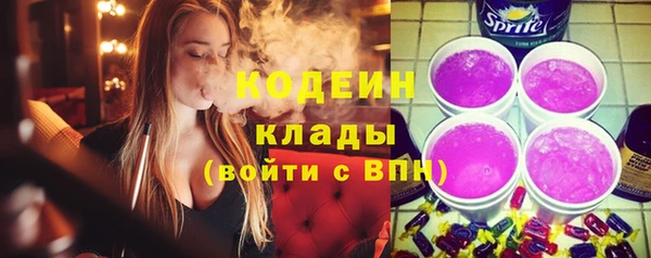 шишки Арсеньев