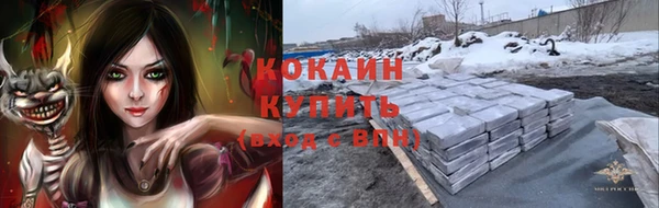 шишки Арсеньев