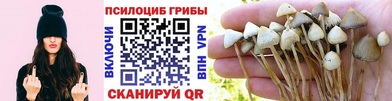 Галлюциногенные грибы мухоморы  цены наркотик  Перевоз 